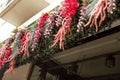 Festive Balcony Elegance: Christmas Decor Adorning a Charming Outdoor Space