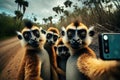 Lemur monkey family taking selfie on the road in the jungle Royalty Free Stock Photo