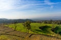 Step farm on hill side with city in the distance