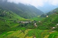 Step Farms in Himalayan Valley in Uttarakhand, India