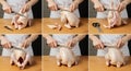 Deboning a Whole Chicken: A Step-by-Step Guide with Detailed Images Royalty Free Stock Photo