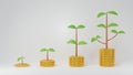 Step increase stacks of golden coins with growing sprout to tree branch with leaves isolated on white background, coin plant for Royalty Free Stock Photo