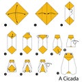 Step by step instructions how to make origami A Cicada