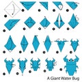 Step by step instructions how to make origami A Giant Water Bug