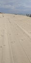 Step marks in desert beach sand