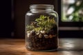 Microcosmic Oasis, A Tiny Terrarium in a Jar Royalty Free Stock Photo