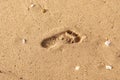 Step one foot on the sand during sunrise - Golden sunrise - footprints in the sand - footprints on the beach Royalty Free Stock Photo