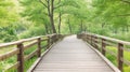 Boardwalk in the park