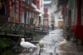 Wuyuan\'s Timeless Charm: Exploring the Ancient Beauty of Jiangxi\'s Old Town, China