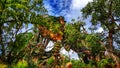 Pandora`s Mountains-The World of Avatar at Disney`s Animal Kingdom