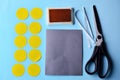 Step-by-step photo instruction how to make a postcard with a flower. Step 1. Prepare 10 yellow circles of paper, grey