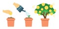 Step of planting money tree. Financial growth and investment concept.