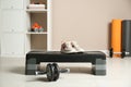 Step platform, sneakers and abdominal wheel. Sports equipment