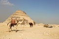 The Step Pyramid Of Djoser in Saqqara, Egypt Royalty Free Stock Photo