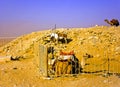 The Step Pyramid of Djoser at Saqqara in Egypt Royalty Free Stock Photo