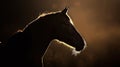 majestic arabian horse silhouette against a dark background, elegant equine beauty