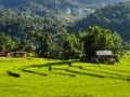 The step rice field in north of Thailand Royalty Free Stock Photo