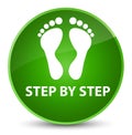 Step by step (footprint icon) elegant green round button Royalty Free Stock Photo