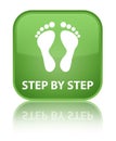 Step by step (footprint icon) special soft green square button Royalty Free Stock Photo