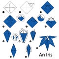 Step by step instructions how to make origami An Iris.