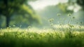 Serene Green Meadow Landscape with Dreamlike Soft Focus for Peaceful Nature Background. Generative Ai