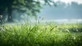 Serene Green Meadow Landscape with Dreamlike Soft Focus for Peaceful Nature Background. Generative Ai