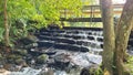 Step waterfall river creek stream under walking bridge at summertime park