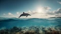 Dolphin Dance: Panoramic Elegance in the Sea and Sky Royalty Free Stock Photo