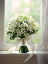 Stephanotis flower copy space blurred window background