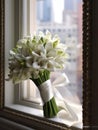 Stephanotis flower copy space blurred window background