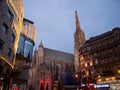 Stephansdom in the night with builduings around