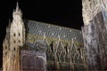 Stephansdom in Vienna by night