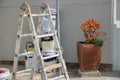 stepladder and paint