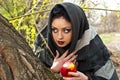 Stepmother casts a spell over the apple Royalty Free Stock Photo