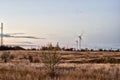 Steppe, bush and wind turbines. Royalty Free Stock Photo