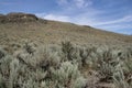 Steppe in Canada