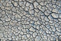 Steppe cracked clay earth in the summer Royalty Free Stock Photo