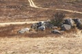 Steppe with dry grass and bush growing in a heap of large gray stones