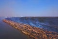 Steppe fire. Burning dry grass, fire smoke Royalty Free Stock Photo