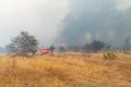 Steppe fire. Burning dry grass, fire smoke Royalty Free Stock Photo