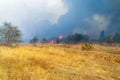 Steppe fire. Burning dry grass, fire smoke Royalty Free Stock Photo