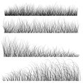 Steppe grass brush set for illustrator. Vector illustration. Sketch Royalty Free Stock Photo