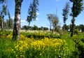 Steppe and lake