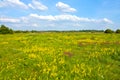 Steppe landscape