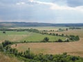 Steppe landscape. Lonely green plants .The steppe is woodless. Ravine in the steppe. Aerial photo