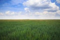 Steppe Landscape