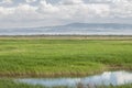 Steppe, prairie, veld, veldt.