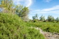 steppe, prairie, veldt, veld, flood plain Royalty Free Stock Photo