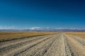 Steppe road Royalty Free Stock Photo