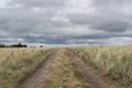 Steppe road going into the stormy sky Royalty Free Stock Photo
